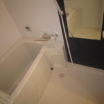 201204124u 031